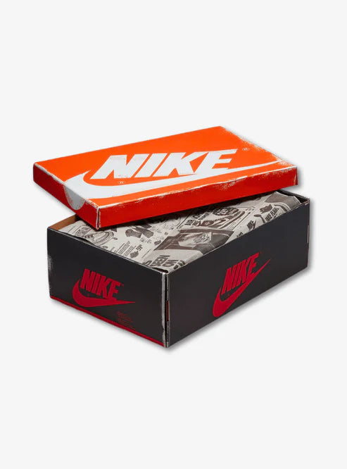 AIR JORDAN 1 HIGH CHICAGO LOST AND FOUND