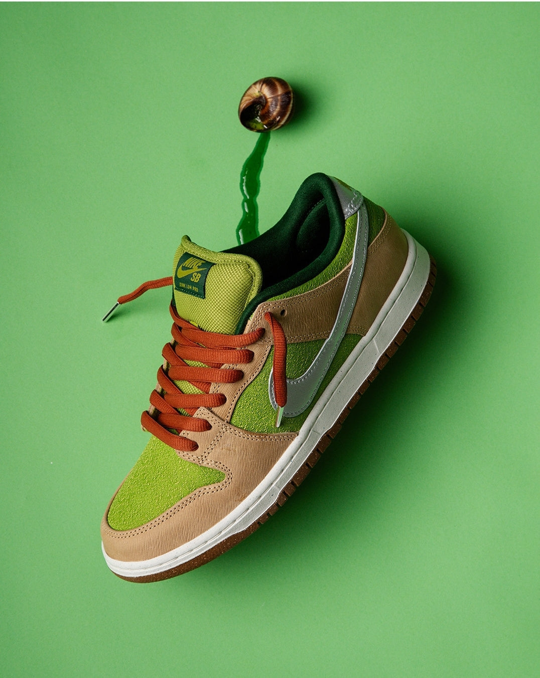 DUNK SB LOW ESCARGOT
