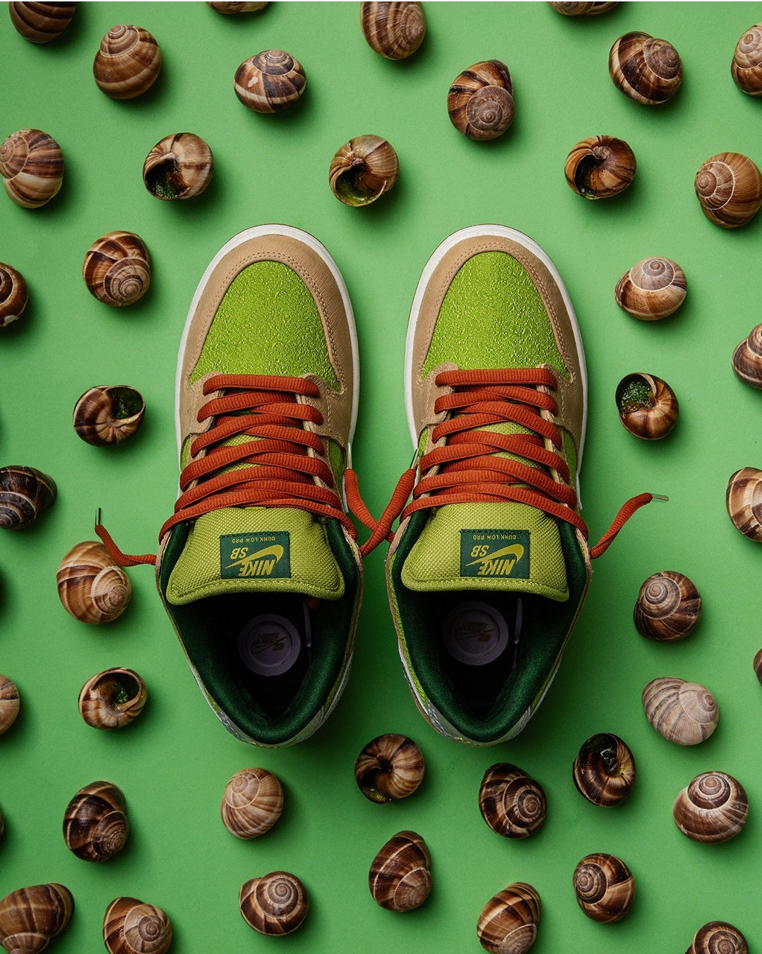 DUNK SB LOW ESCARGOT