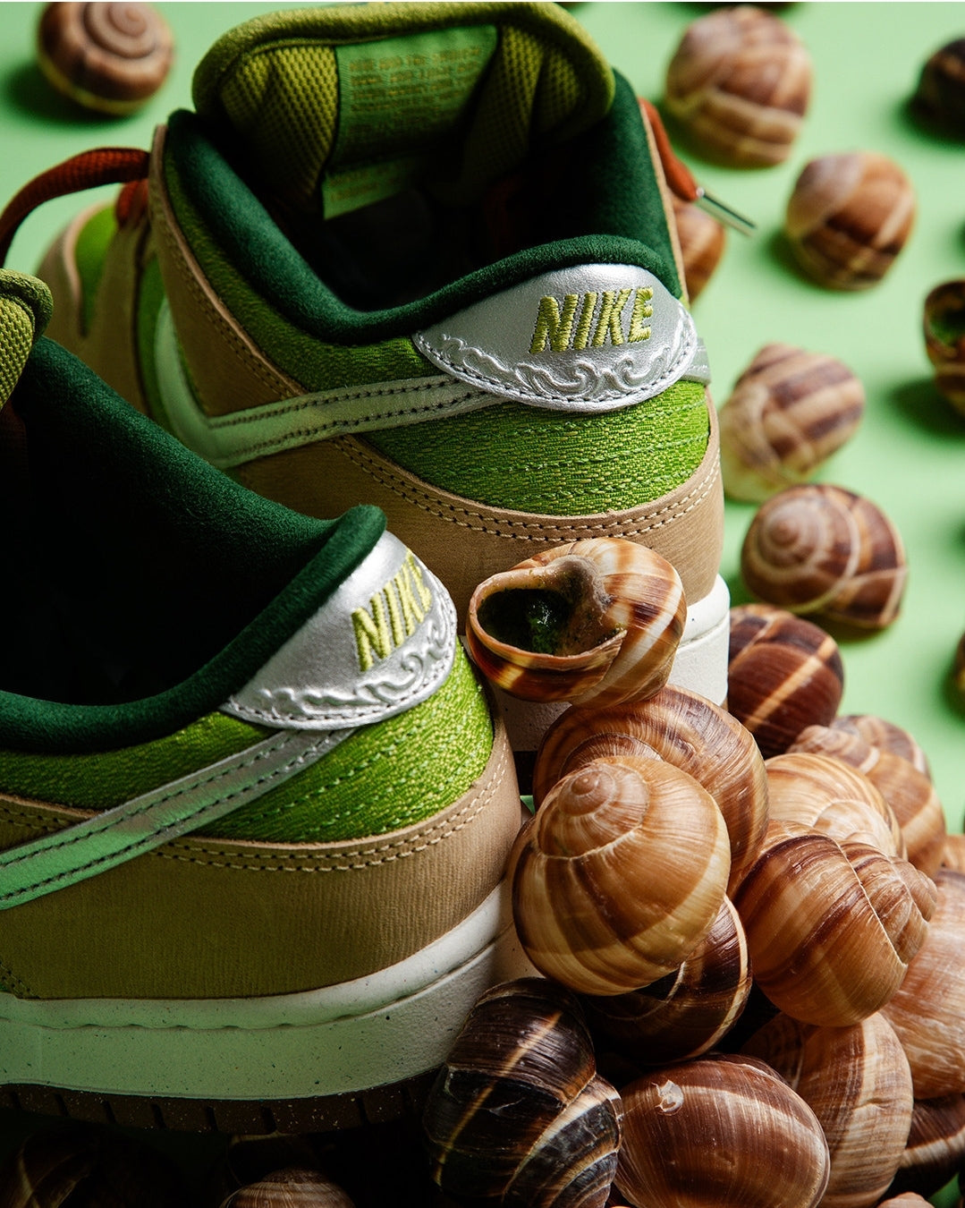 DUNK SB LOW ESCARGOT