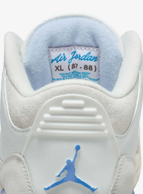 Air Jordan 3 Retro Lucky Shorts