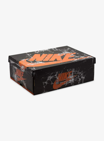 Air Jordan 1 Retro High OG Shattered Backboard (2025)