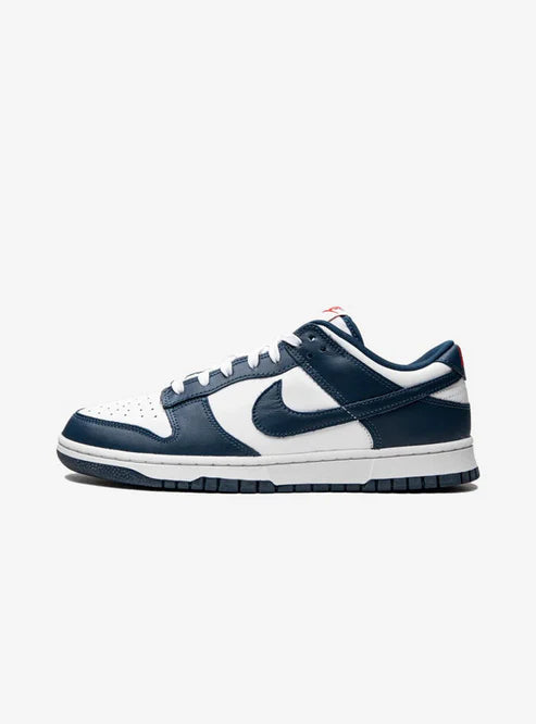 Nike Dunk Low Valerian Blue